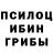 Псилоцибиновые грибы мухоморы Vergil Vitalievich
