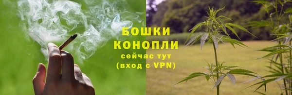 твердый Новодвинск