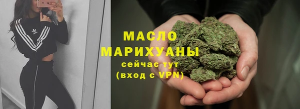 твердый Новодвинск