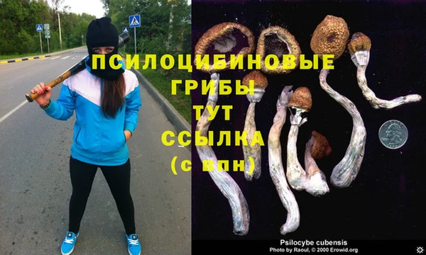 ешки Ветлуга