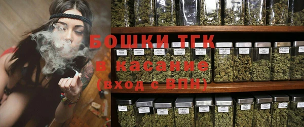 твердый Новодвинск
