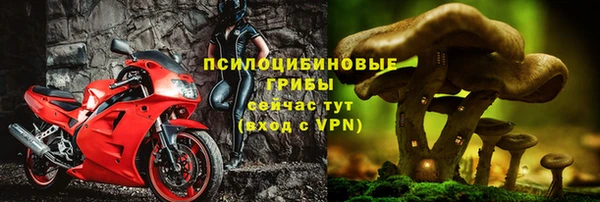 крисы Новокубанск