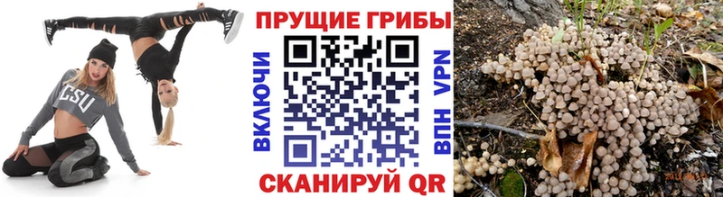 что такое наркотик  Ликино-Дулёво  Псилоцибиновые грибы ЛСД 